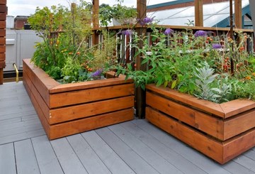 raised garden bed